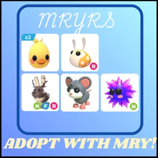 ADOPT ME BUNDLE