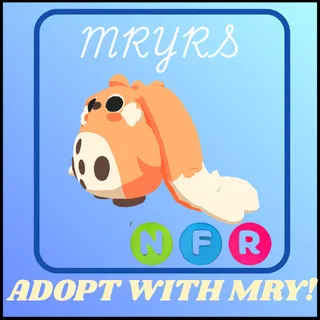 NFR CABBIT