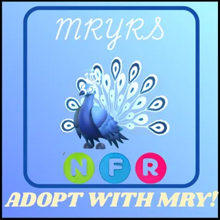 NFR MOONBEAM PEACOCK