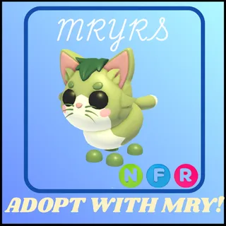 NFR MATCHA CAT 