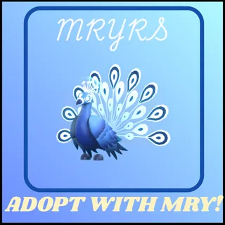 MOONBEAM PEACOCK 4X