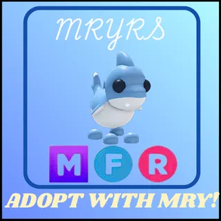 MFR SHARK PUPPY