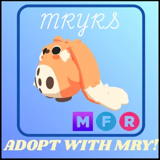 MFR CABBIT
