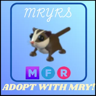 MFR SUGAR GLIDER