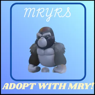 SILVERBACK GORILLA
