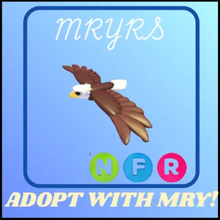 NFR BALD EAGLE