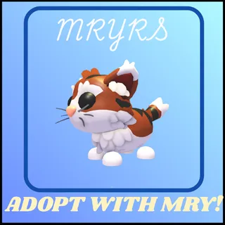 MUNCHKIN CAT 4X