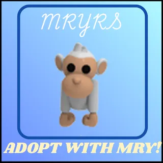 ALBINO MONKEY