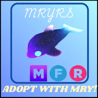 MFR GLORMY DOLPHIN 