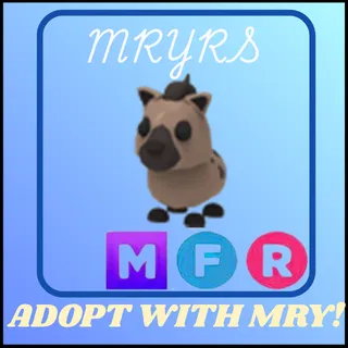 MFR HYENA