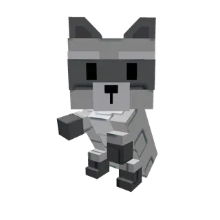 Raccoon