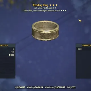 Wedding Ring + [AP Regen] + [Food, Drink and chem weights reduced by 20%]