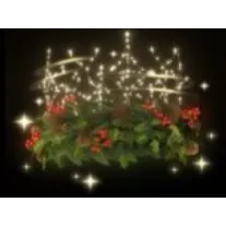 Wishing Star Woods Halo 🌟Glitterfrost 2025