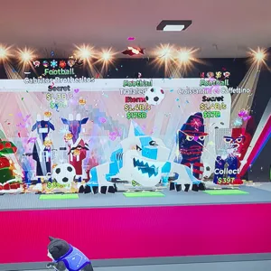 Bundle Football/5