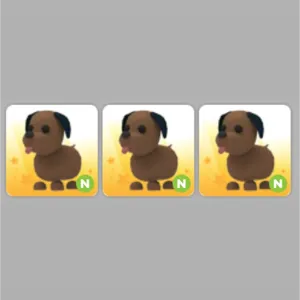 3x Neon Chocolate Lab
