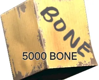 Bone