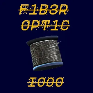 Fiber Optic