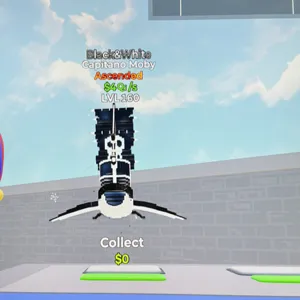 Go up for brainrots