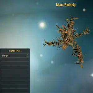 Misc-Moist Radkelp X10