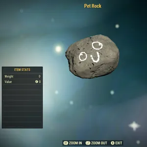 Misc-Pet Rock