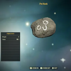 Misc-Pet Rock