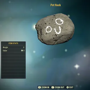 Misc-Pet Rock