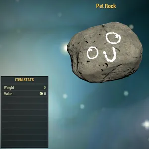 Misc-Pet Rock