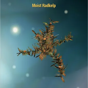 Misc-Moist Radkelp x25