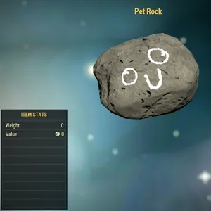 Misc-Pet Rock