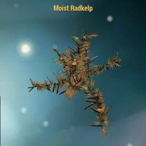 Misc-Moist Radkelp x10