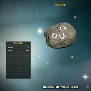 Misc- Pet Rock