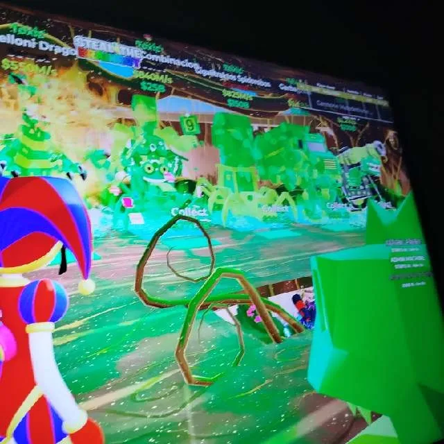 挂牌照片