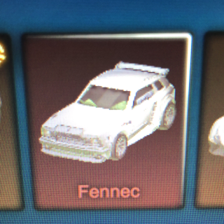 Bundle Titanium White Fennec Ingame Gegenstande Gameflip