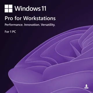 Windows 11 Pro Workstations  - Lifetime License