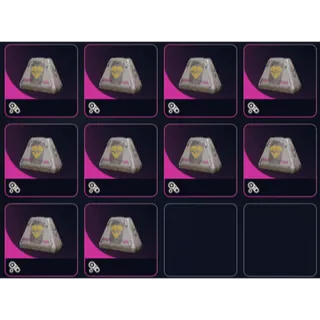 10x survivor augment
