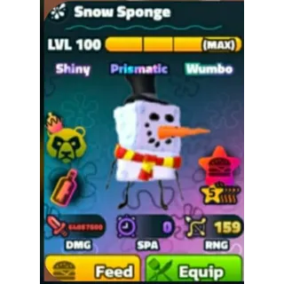 SW Snow Sponge 5s Max