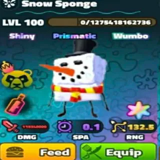 SW Superstar Snow Sponge