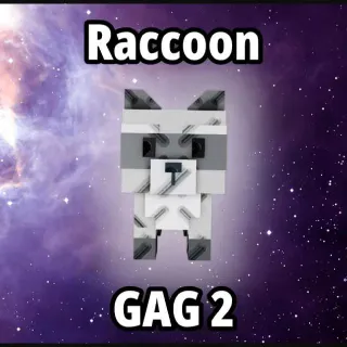 Raccoon
