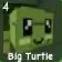 BIG TURTLE