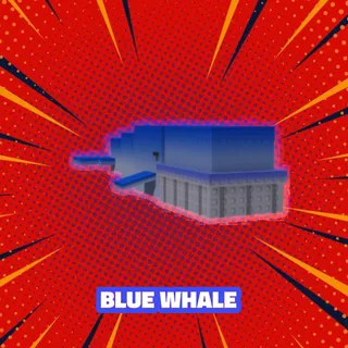 HUGE /TITANIC BLUE WHALE 60kg+