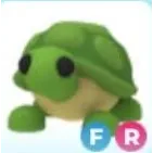 FR TURTLE