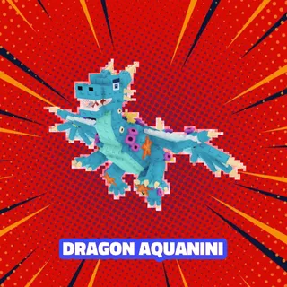 DRAGON AQUANINI