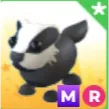 MR BADGER