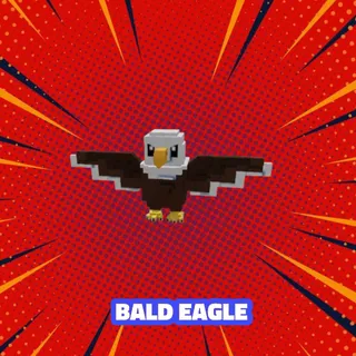 1X BALD EAGLE