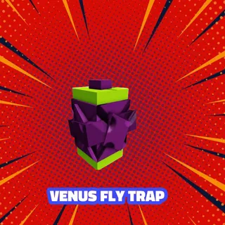 2x VENUS FLY TRAP