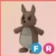 FR KANGAROO