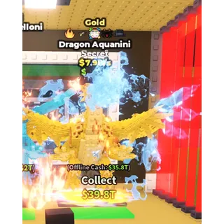 GOLD DRAGON AQUANINI 7,9B/S