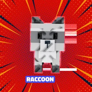 RACCOON