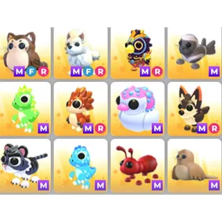 BUNDLE ADOPT ME!
