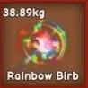 HUGE RAINBOW HATCHED BIRD 38kg+